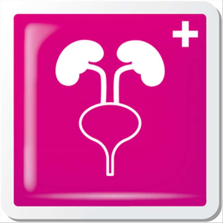 VetIQ HEALTHY BITES URINARY CARE