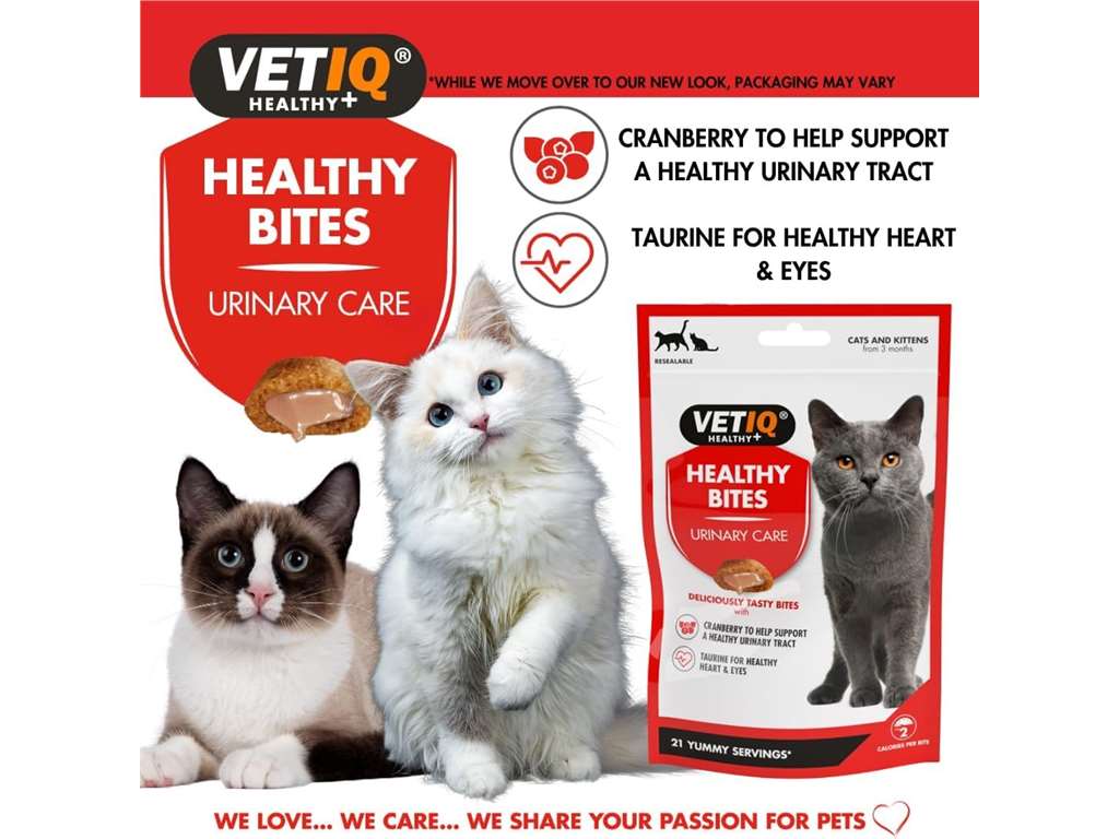 VetIQ HEALTHY BITES URINARY CARE
