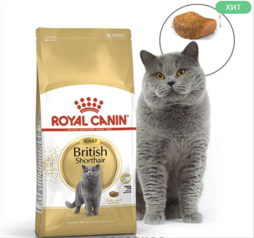 ROYAL CANIN British